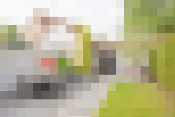 Asserhof 30 Nijkerk thumbnail 27