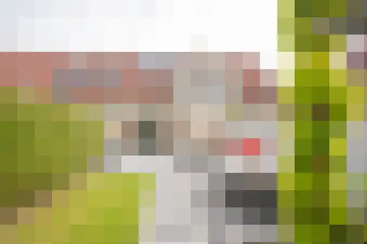 Asserhof 30 Nijkerk thumbnail 28