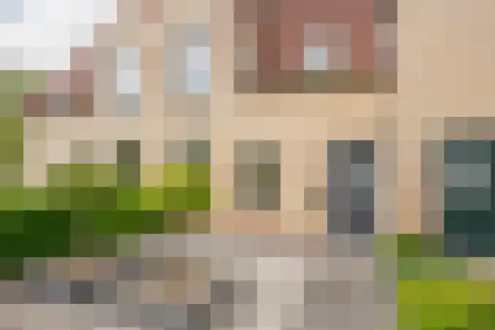Asserhof 30 Nijkerk thumbnail 30