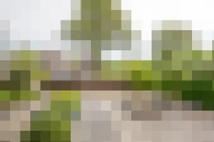 Asserhof 30 Nijkerk thumbnail 31