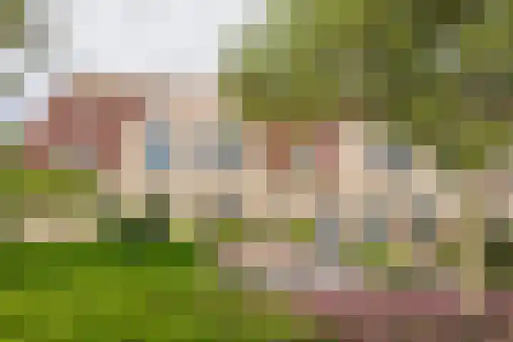 Asserhof 30 Nijkerk thumbnail 32