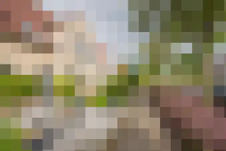 Asserhof 30 Nijkerk thumbnail 34