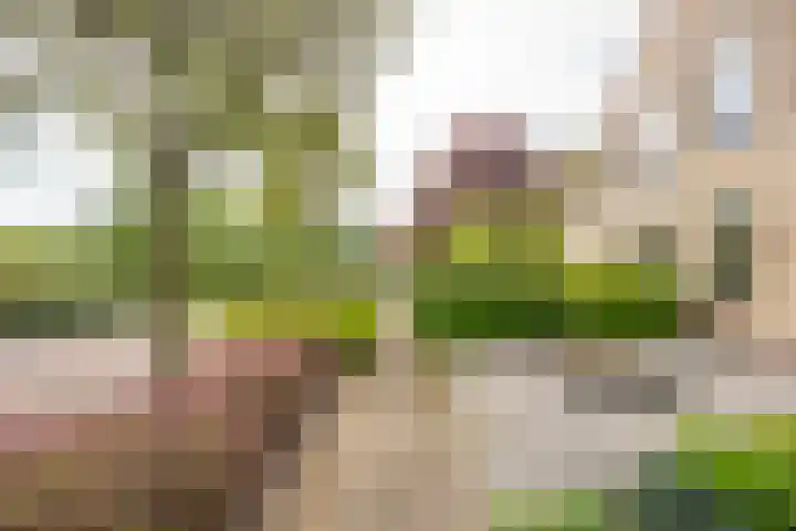 Asserhof 30 Nijkerk thumbnail 35