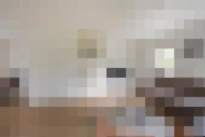 Asserhof 30 Nijkerk thumbnail 4