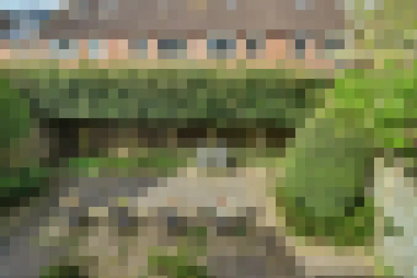 Asserlaan 11 Vlijmen thumbnail 20