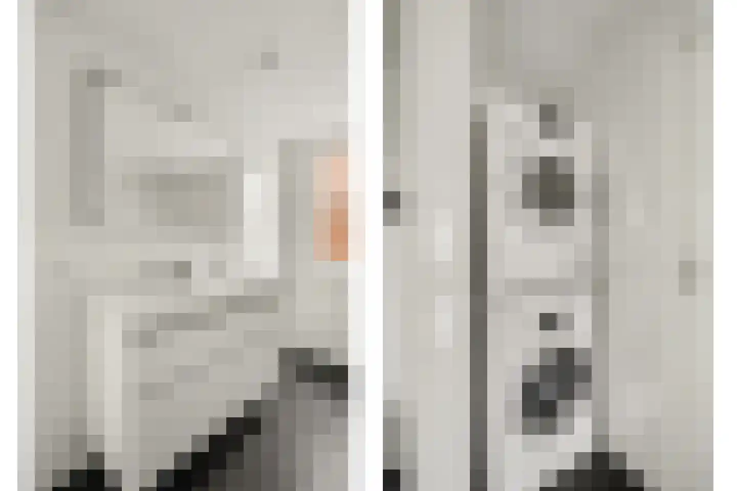 Asserlaan 11 Vlijmen thumbnail 23