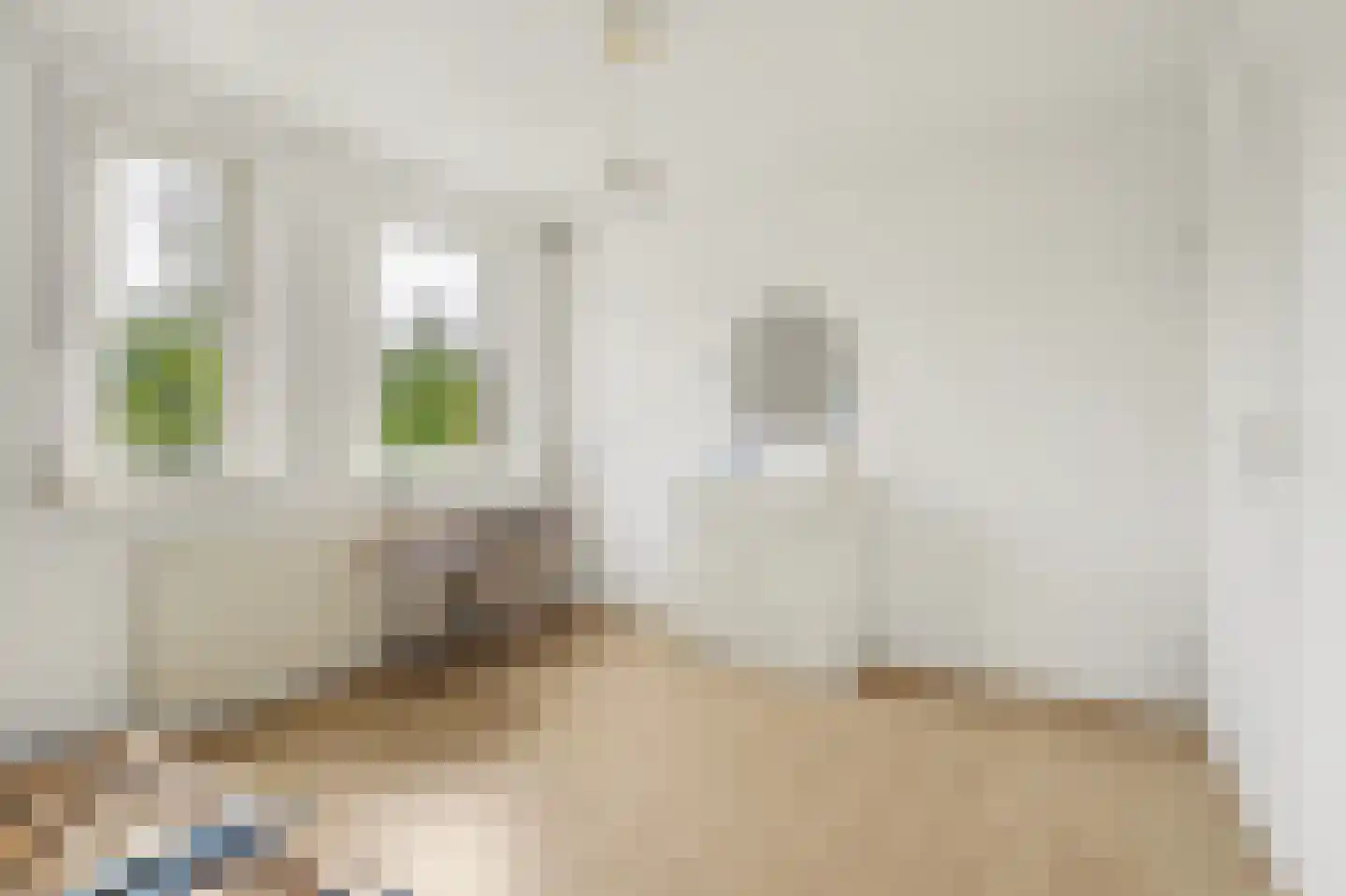 Asserlaan 11 Vlijmen thumbnail 25