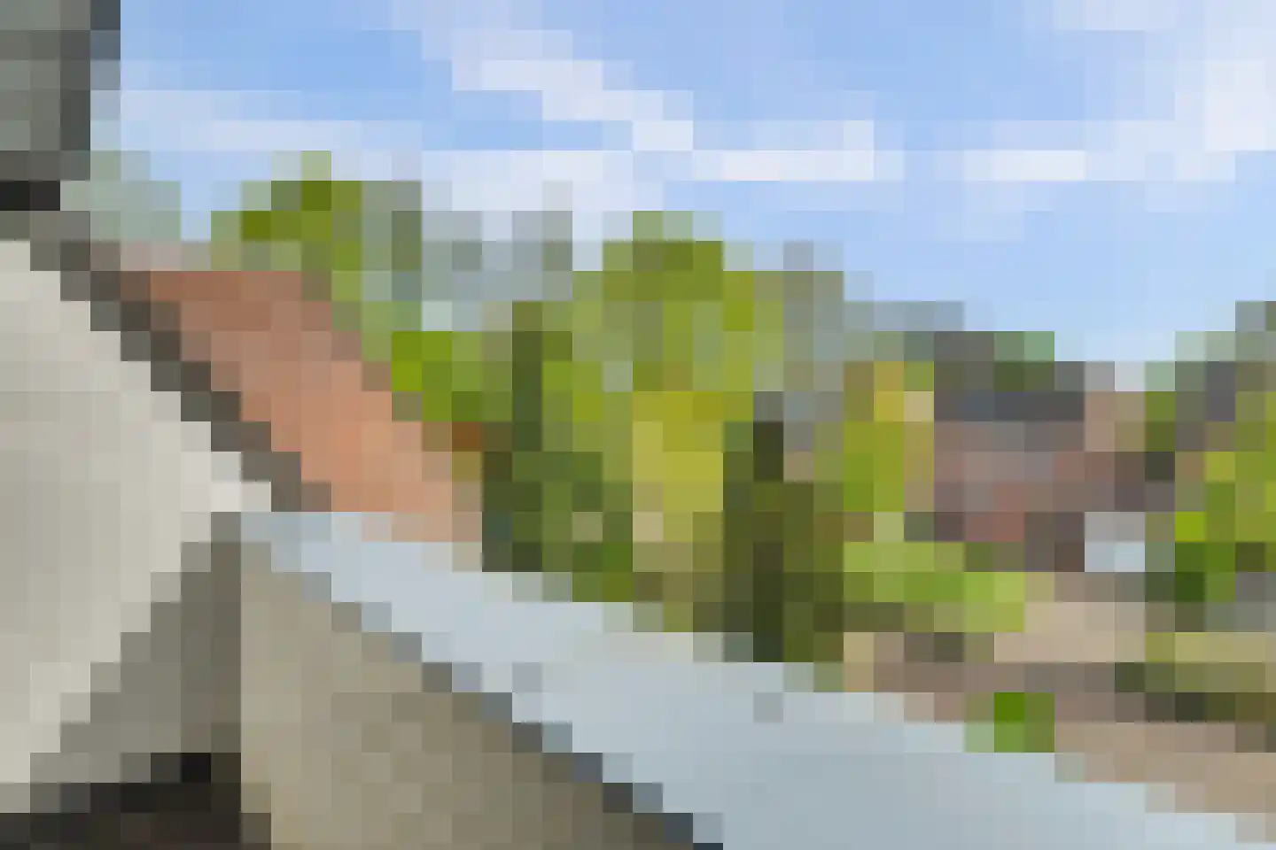 Asserlaan 11 Vlijmen thumbnail 33