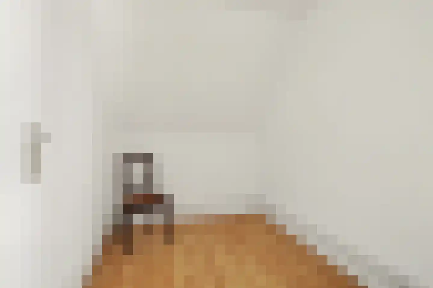 Asserlaan 11 Vlijmen thumbnail 34