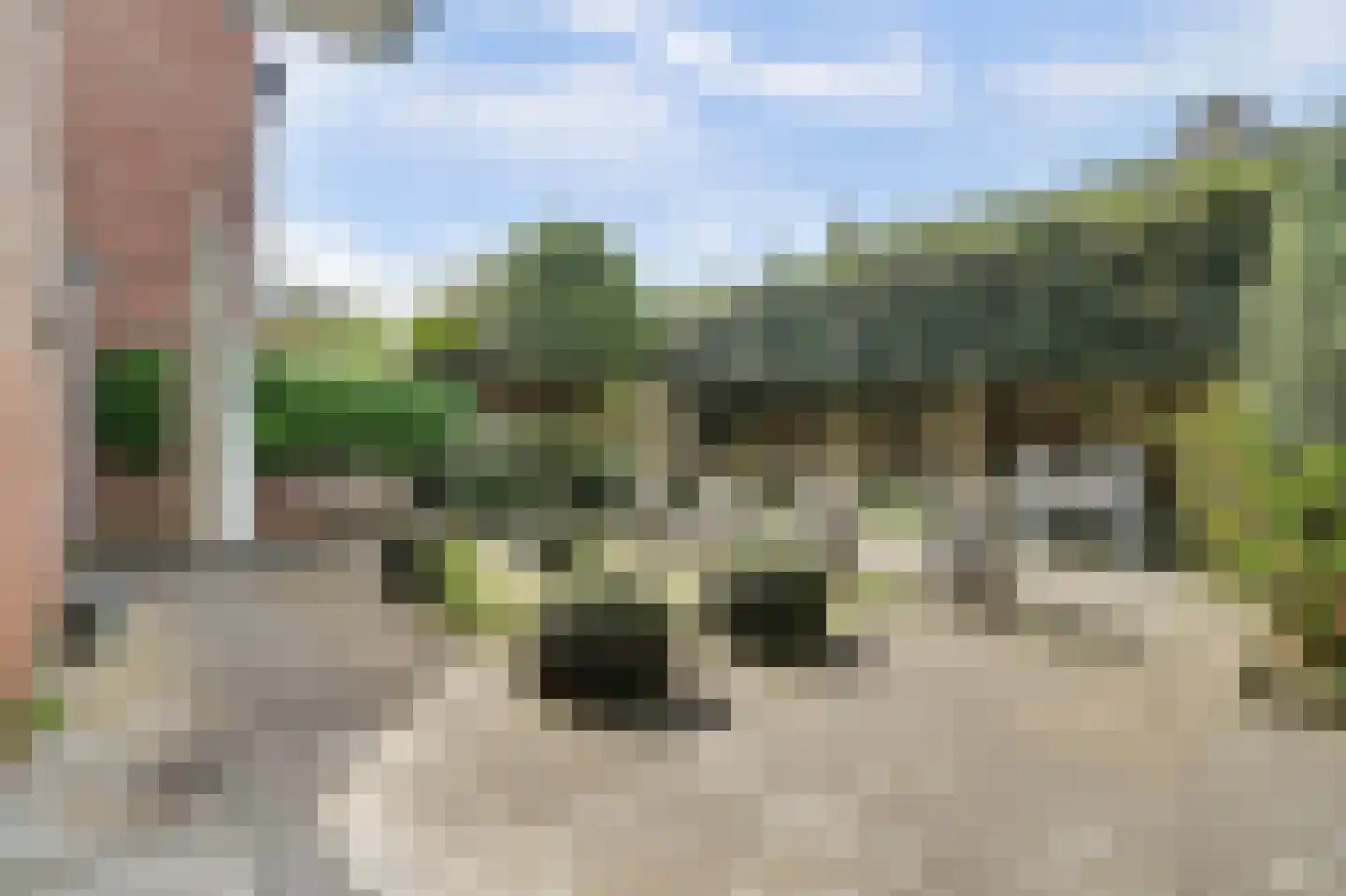 Asserlaan 11 Vlijmen thumbnail 37
