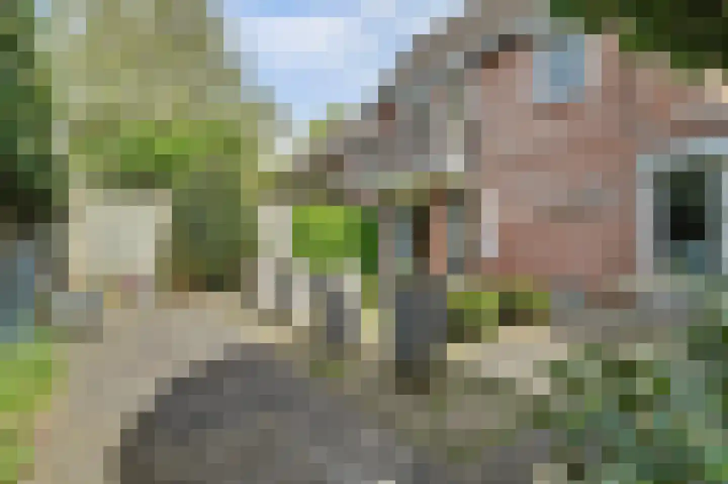 Asserlaan 11 Vlijmen thumbnail 39