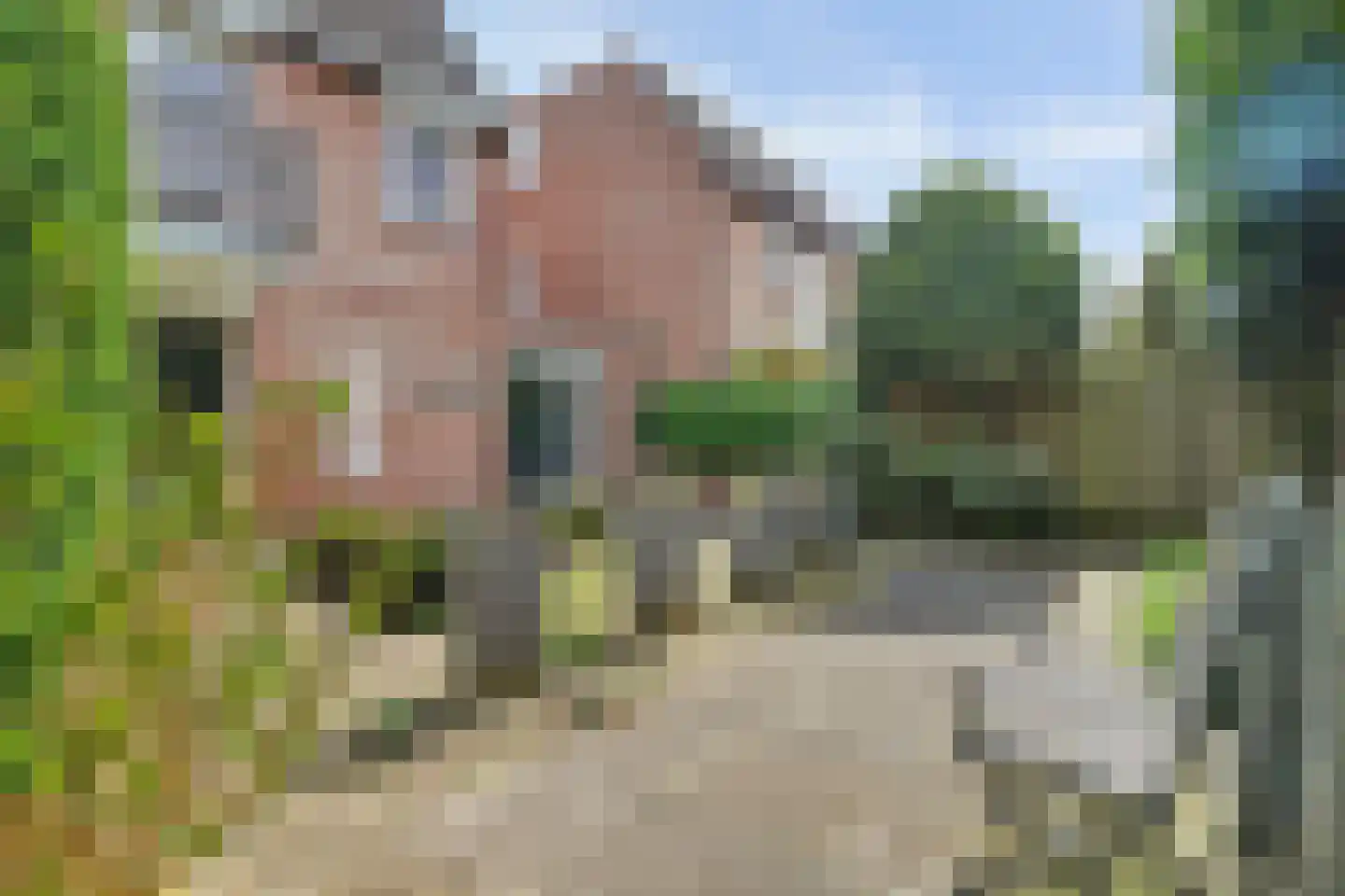 Asserlaan 11 Vlijmen thumbnail 40