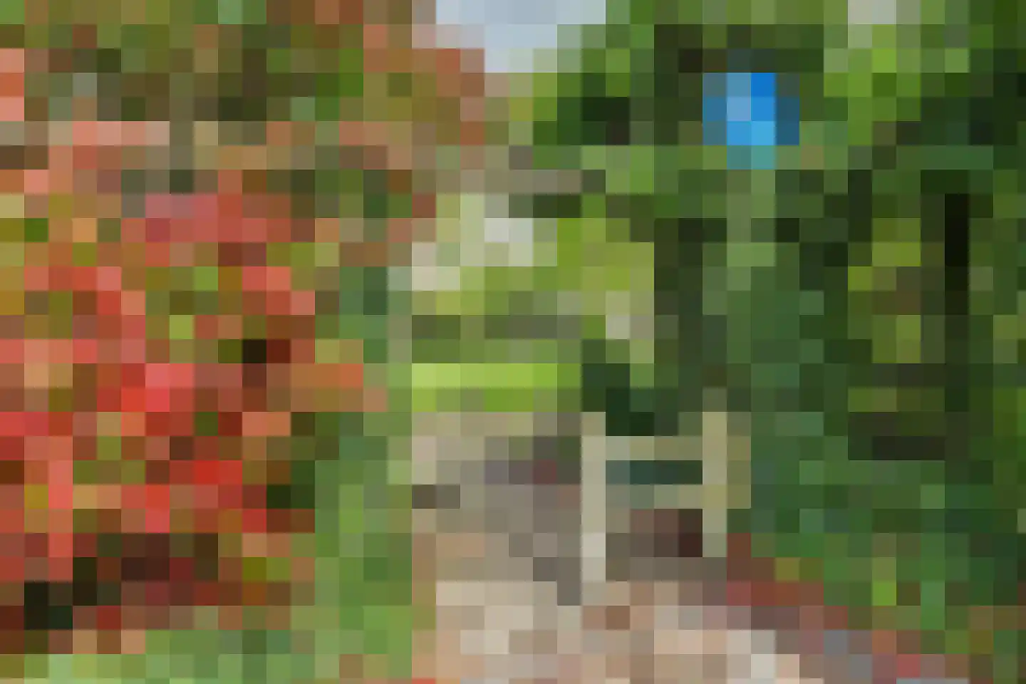 Asserlaan 11 Vlijmen thumbnail 45