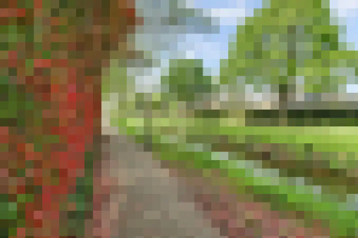 Asserlaan 11 Vlijmen thumbnail 46