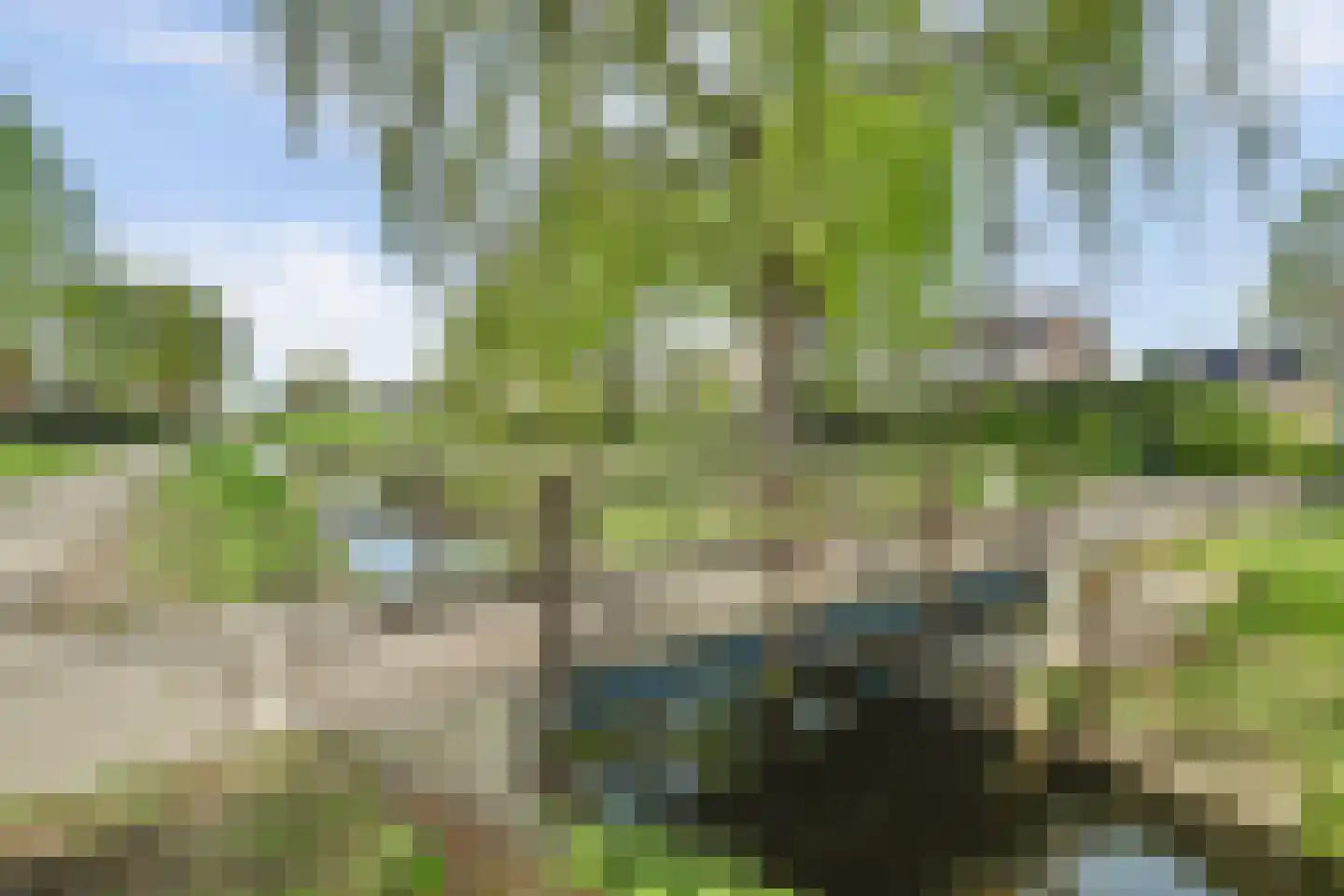 Asserlaan 11 Vlijmen thumbnail 47