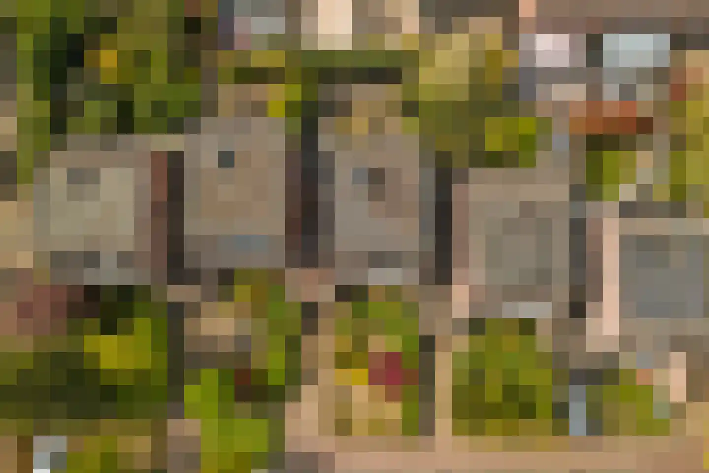 Asserlaan 11 Vlijmen thumbnail 48
