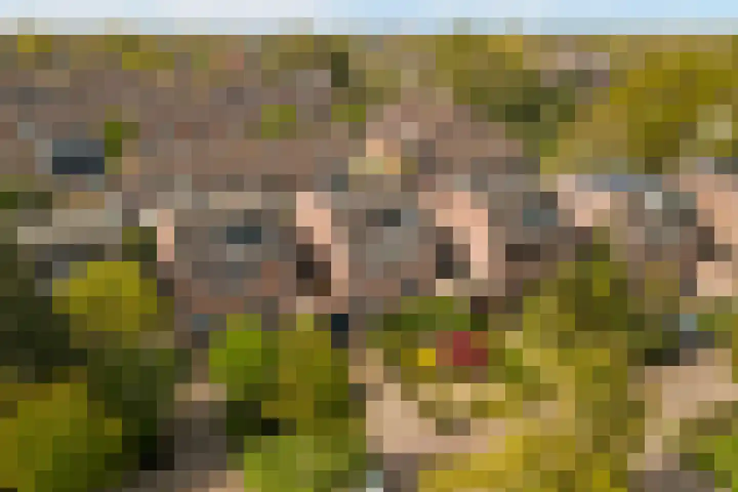 Asserlaan 11 Vlijmen thumbnail 49