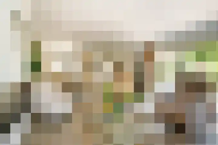 Asserlaan 128 Schoonhoven thumbnail 11