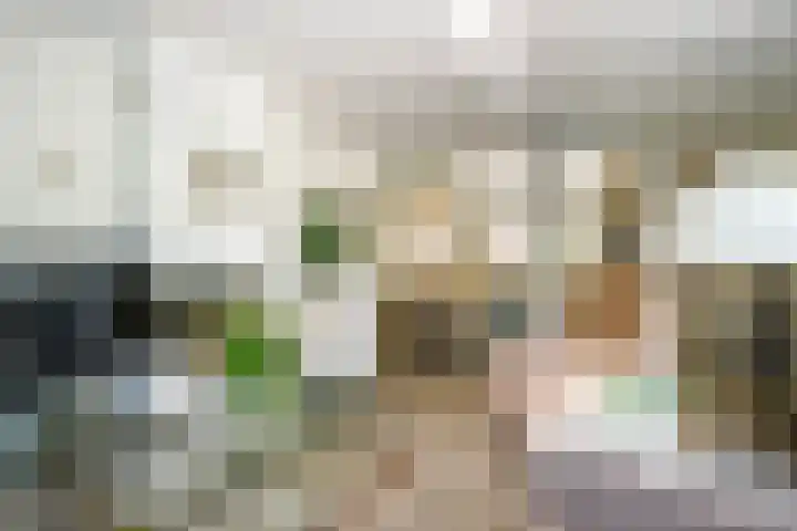 Asserlaan 128 Schoonhoven thumbnail 12