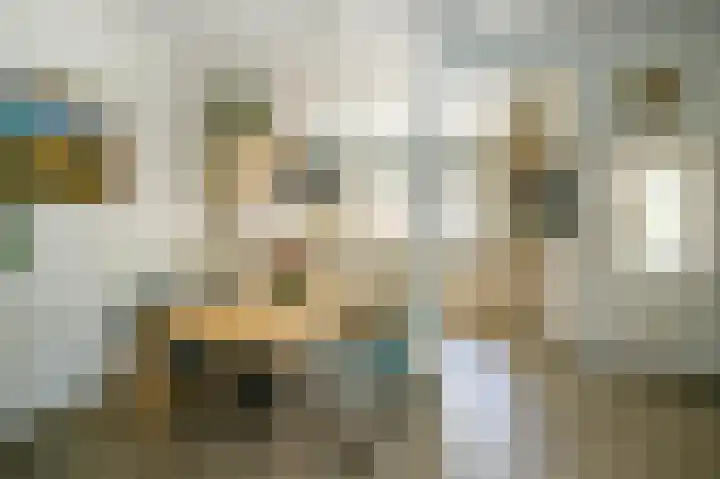 Asserlaan 128 Schoonhoven thumbnail 13