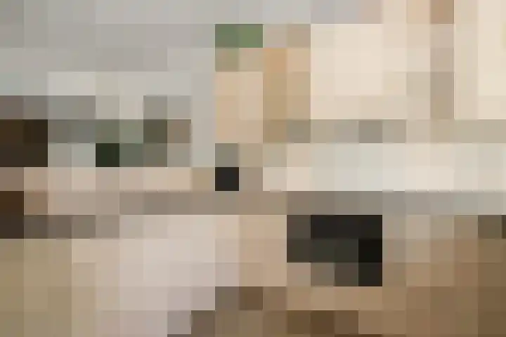 Asserlaan 128 Schoonhoven thumbnail 15