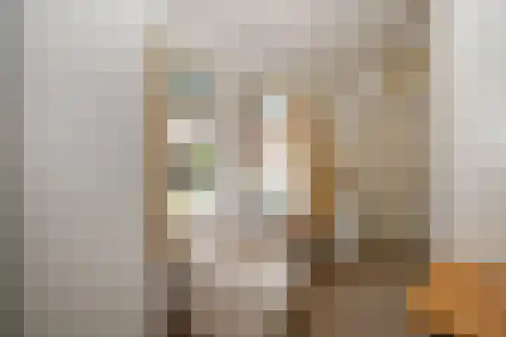 Asserlaan 128 Schoonhoven thumbnail 22
