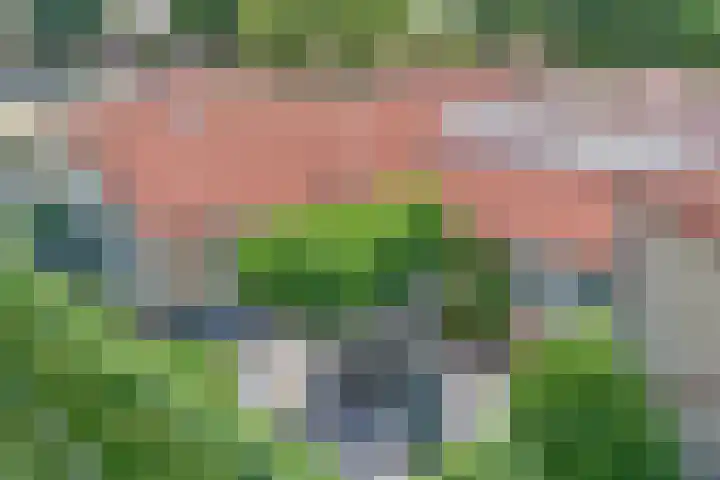 Asserlaan 128 Schoonhoven thumbnail 24
