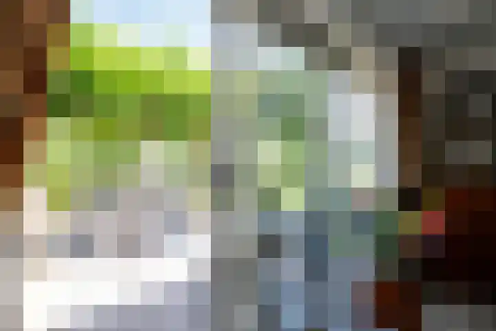 Asserlaan 128 Schoonhoven thumbnail 29