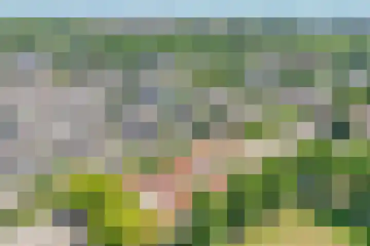 Asserlaan 128 Schoonhoven thumbnail 32
