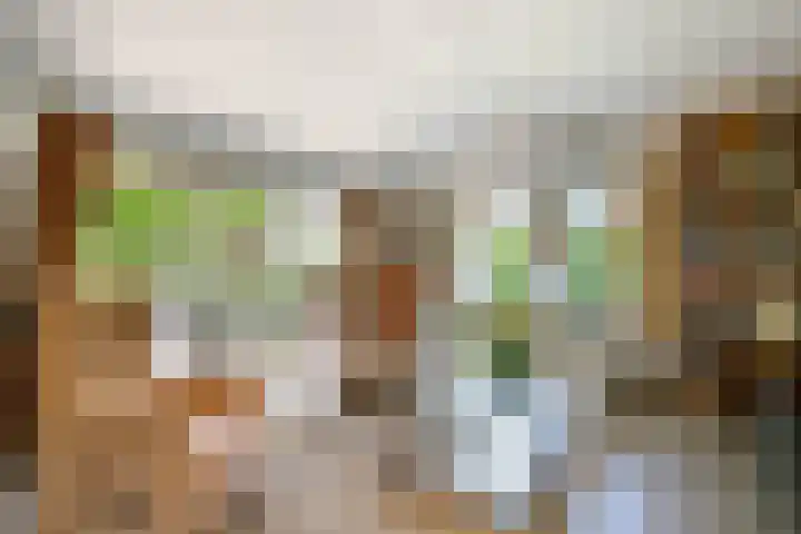 Asserlaan 128 Schoonhoven thumbnail 9
