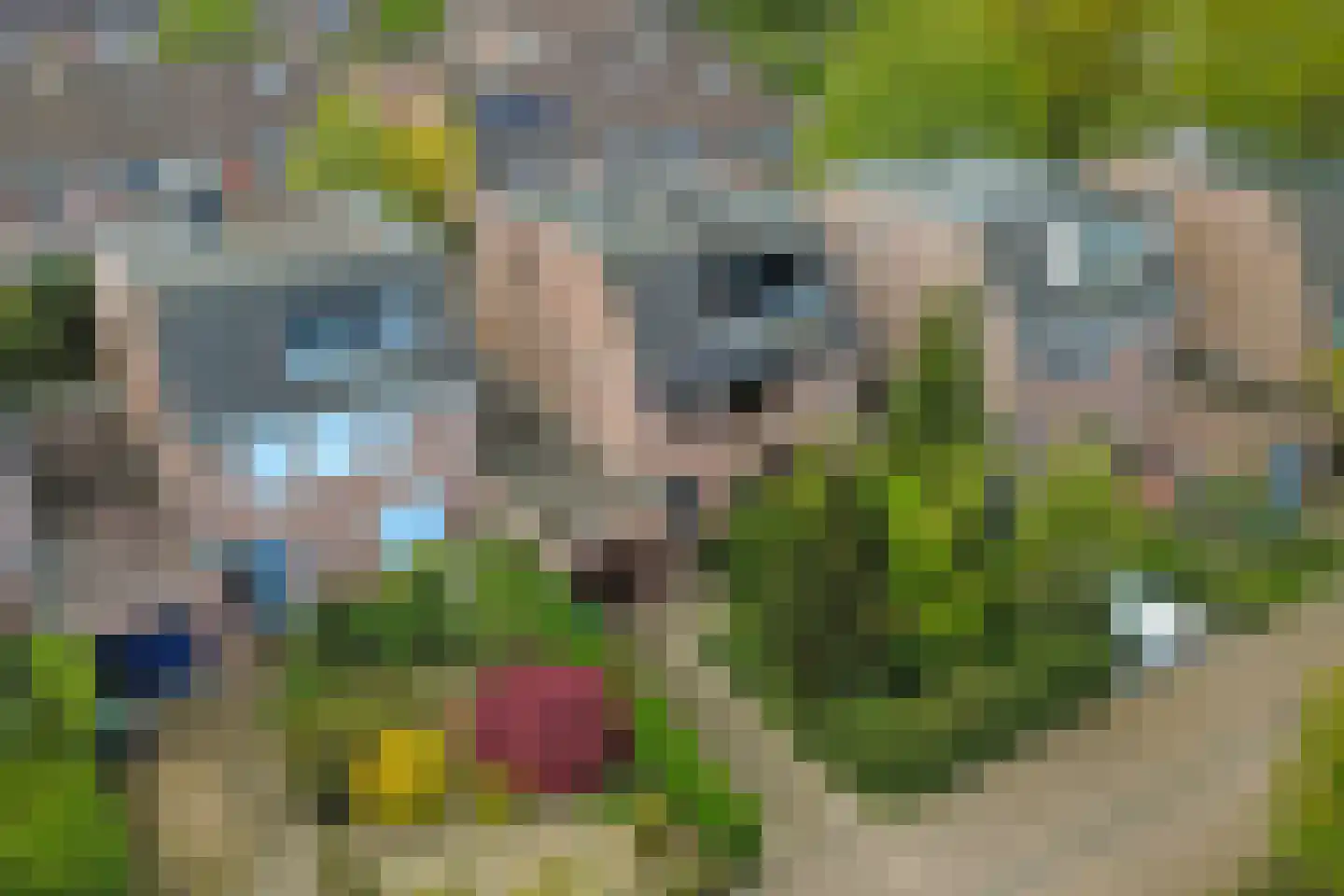 Asserlaan 13 Vlijmen