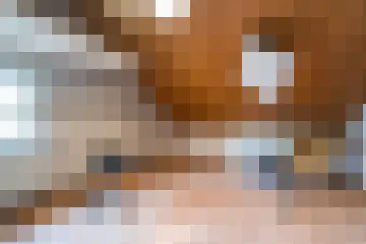 Asserlaan 5 Weert thumbnail 30