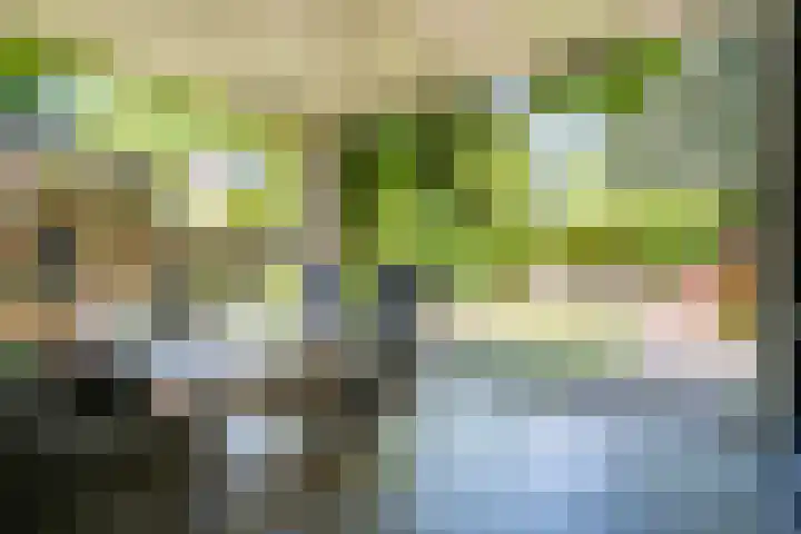 Asserlaan 5 Weert thumbnail 36
