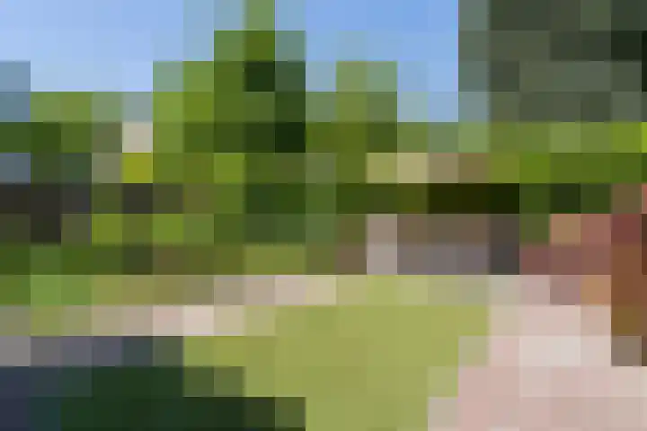Asserlaan 5 Weert thumbnail 38