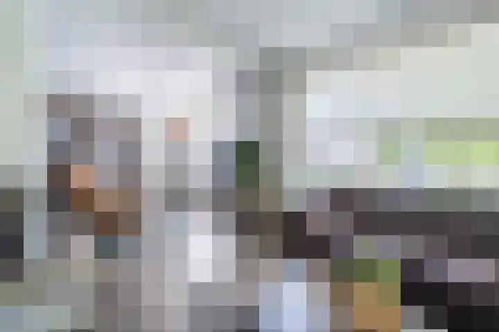 Asserlaan 5 Weert thumbnail 5