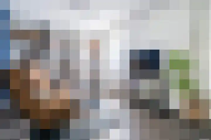 Asserlaan 5 Weert thumbnail 6