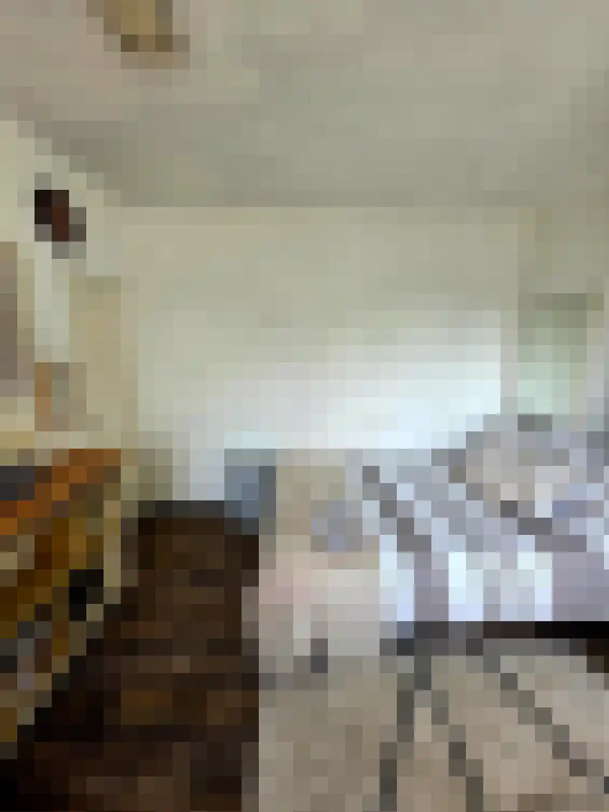 Asserlaan 6 Utrecht thumbnail 5