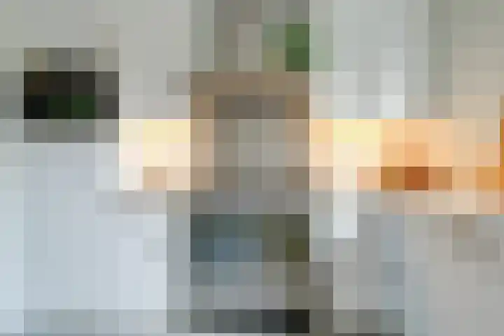 Asserlaan 9 Vlijmen thumbnail 10