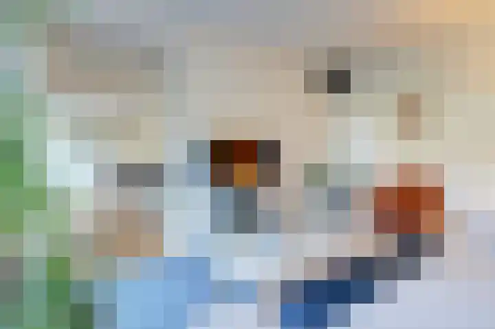 Asserlaan 9 Vlijmen thumbnail 15