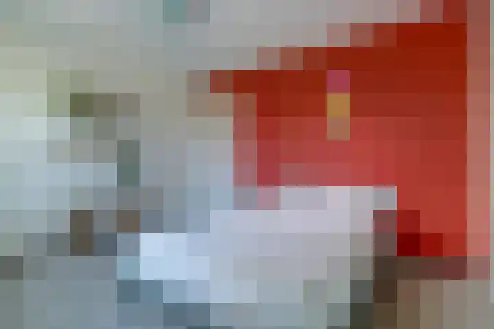 Asserlaan 9 Vlijmen thumbnail 20