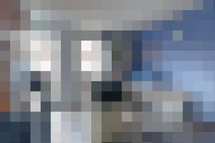 Asserlaan 9 Vlijmen thumbnail 26