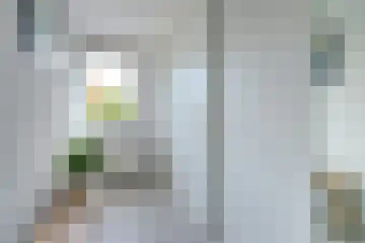 Asserlaan 9 Vlijmen thumbnail 28