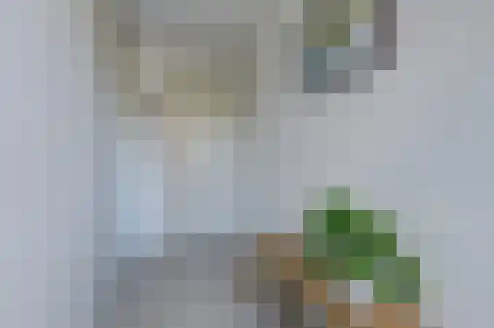 Asserlaan 9 Vlijmen thumbnail 29