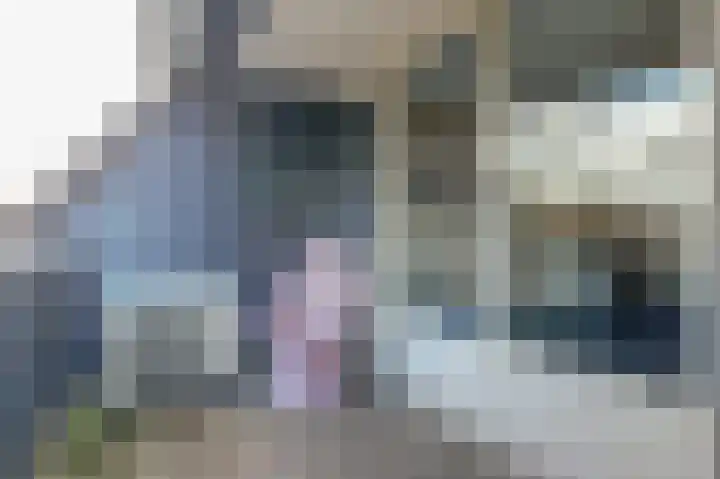 Asserlaan 9 Vlijmen thumbnail 34