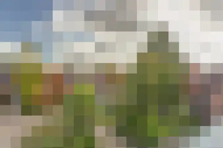 Asserlaan 9 Vlijmen thumbnail 35