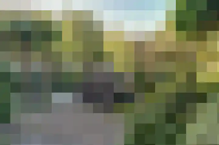 Asserlaan 9 Vlijmen thumbnail 37