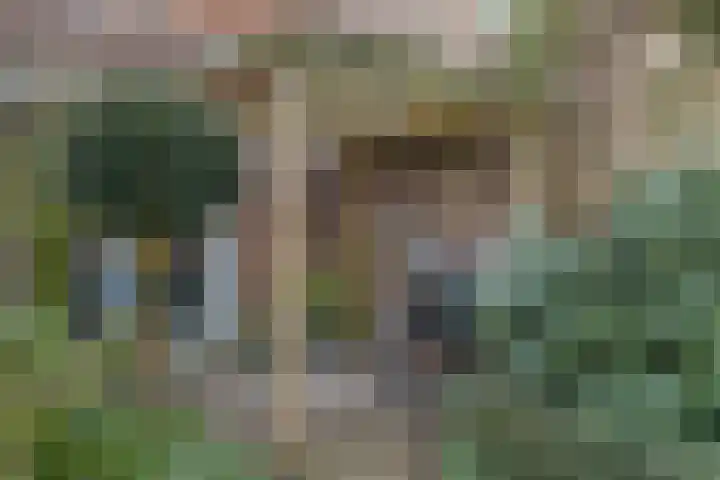 Asserlaan 9 Vlijmen thumbnail 39
