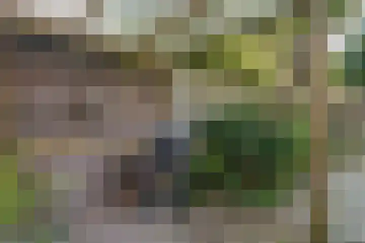Asserlaan 9 Vlijmen thumbnail 40