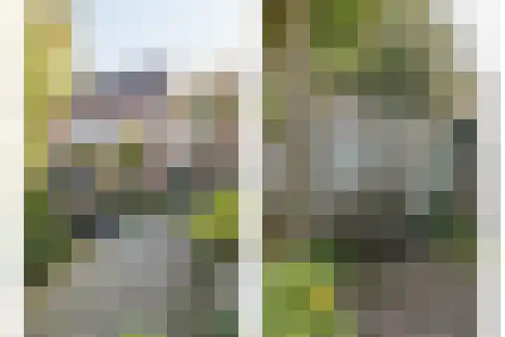 Asserlaan 9 Vlijmen thumbnail 41