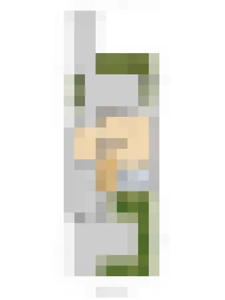 Asserlaan 9 Vlijmen thumbnail 42